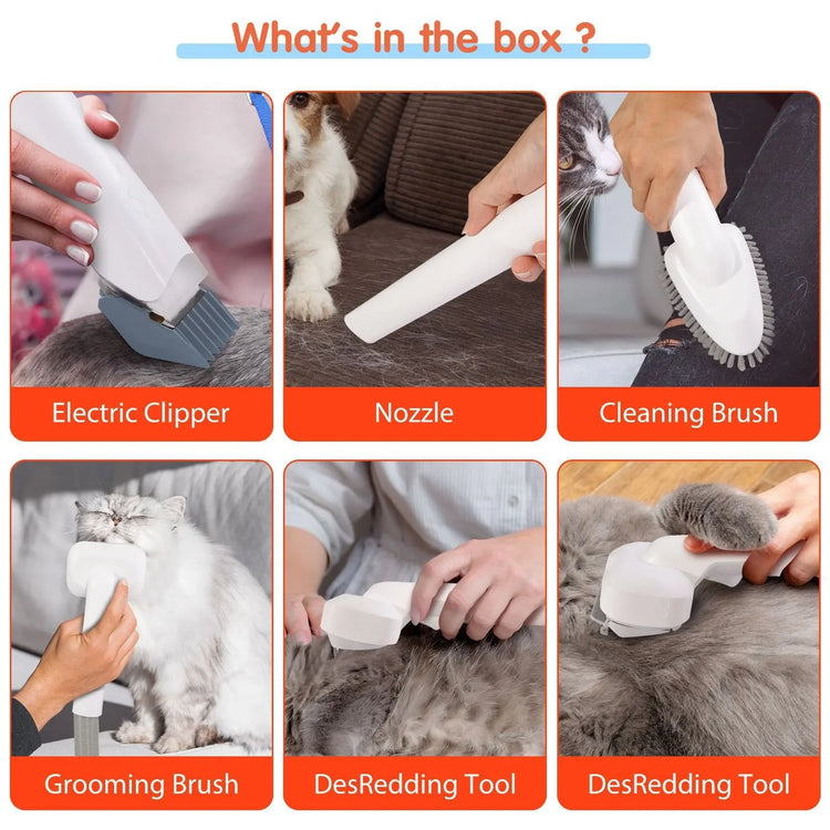 Kit de Toilettage pour Animaux 6-en-1 avec Aspiration Puissante pour Chiens et Chats