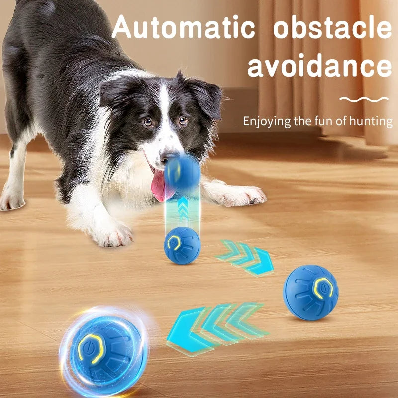 Smart Bounce Ball for Dogs & Cats (USB Rechargeable)