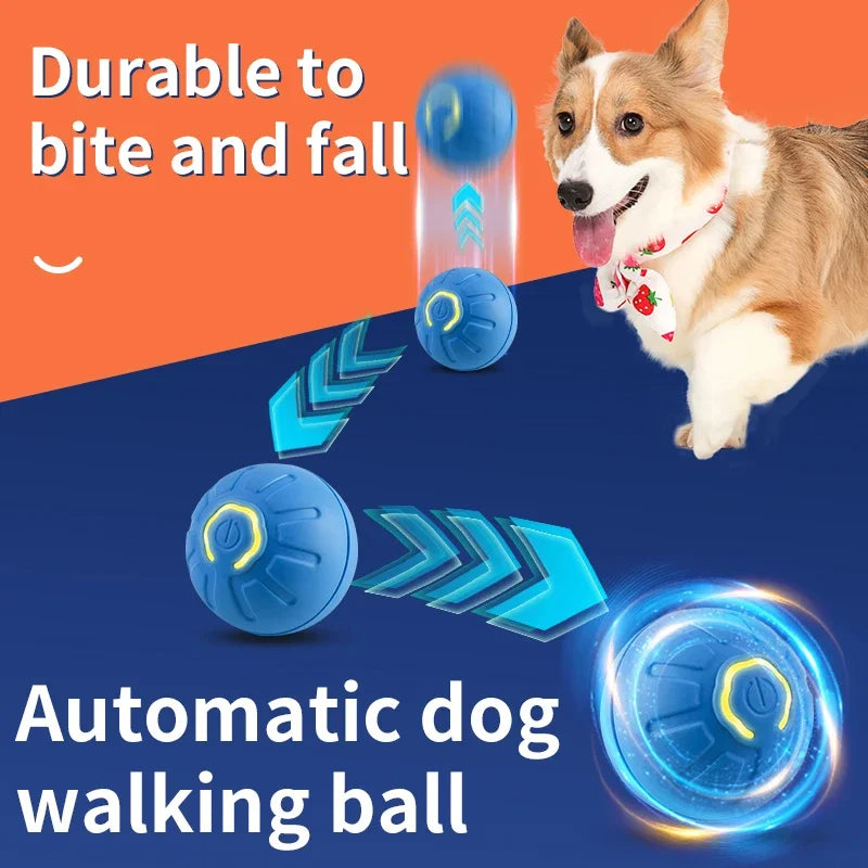 Smart Bounce Ball for Dogs & Cats (USB Rechargeable)