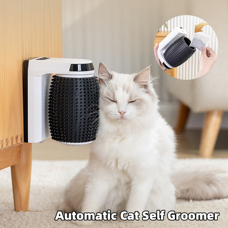 Brosse murale toilettage pour chat