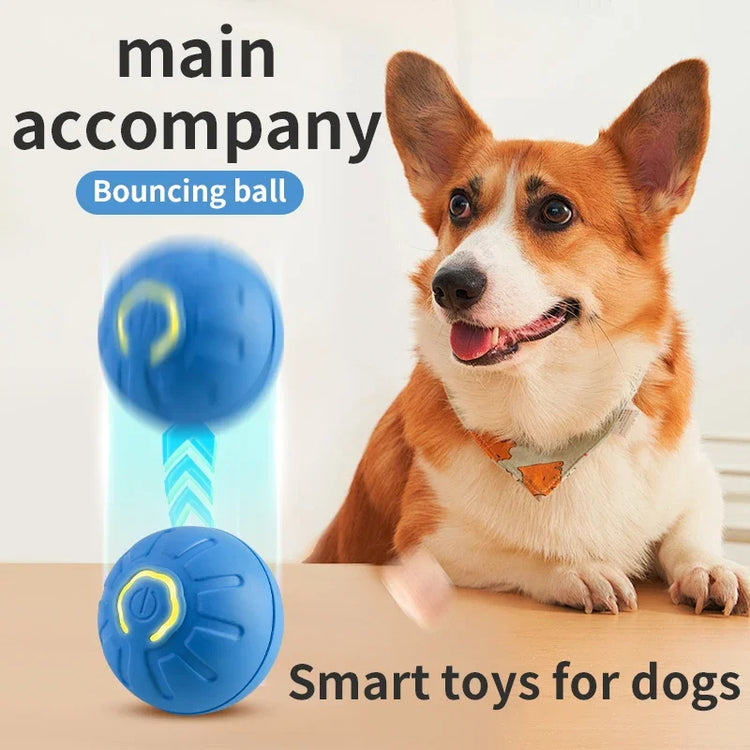 Smart Bounce Ball for Dogs & Cats (USB Rechargeable)