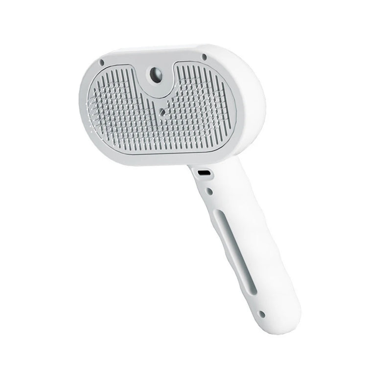 Brosse de toilettage à vapeur pour chien