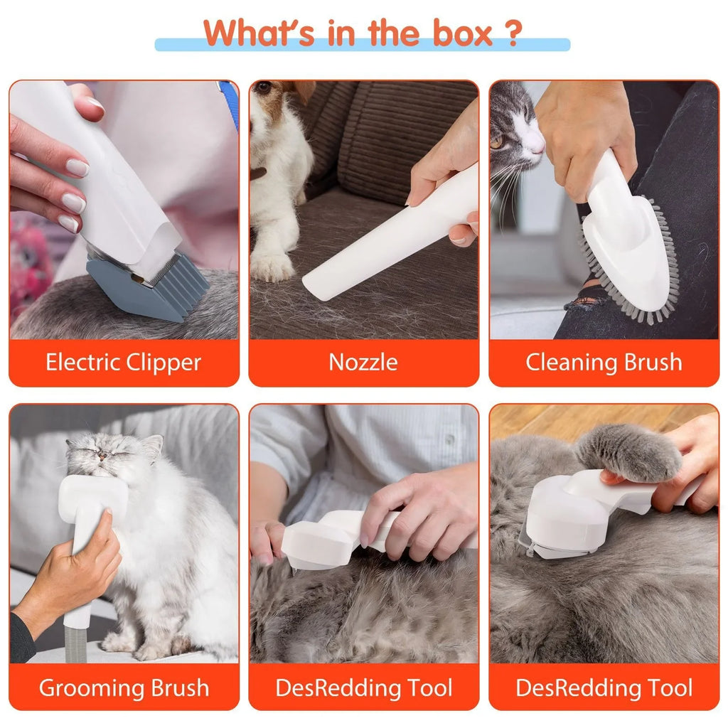 Kit de Toilettage pour Animaux 6-en-1 avec Aspiration Puissante pour Chiens et Chats