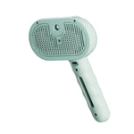 Brosse de toilettage à vapeur pour chien