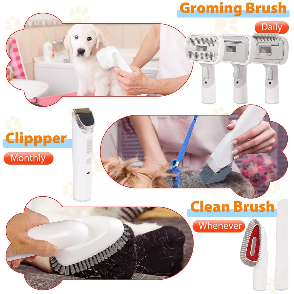 Kit de Toilettage pour Animaux 6-en-1 avec Aspiration Puissante pour Chiens et Chats