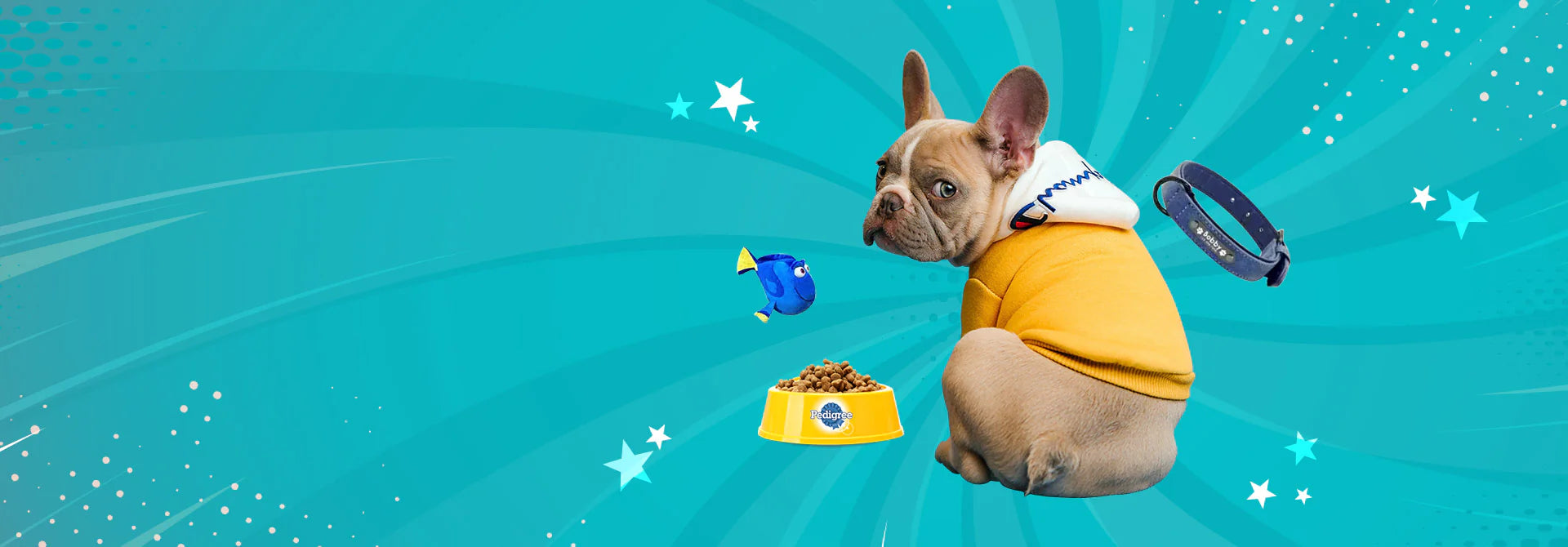 At-Home Pet Grooming Essentials